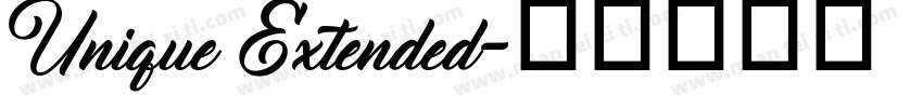 Unique Extended字体转换